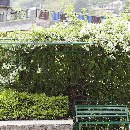 Savoy Greens Hotel Kasauli Exterior photo